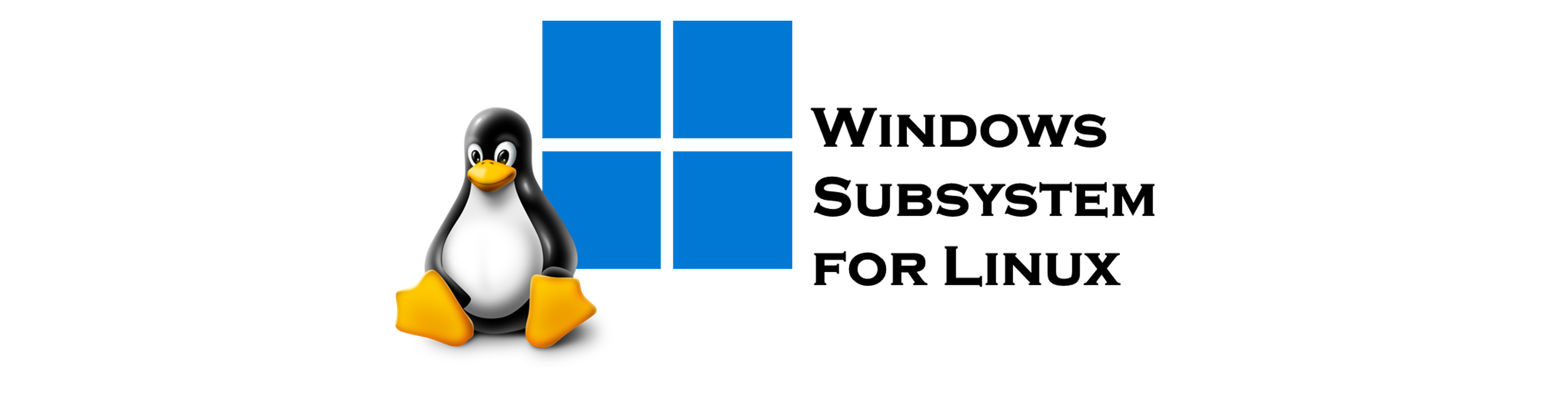 Windows Subsystem for Linux (WSL)